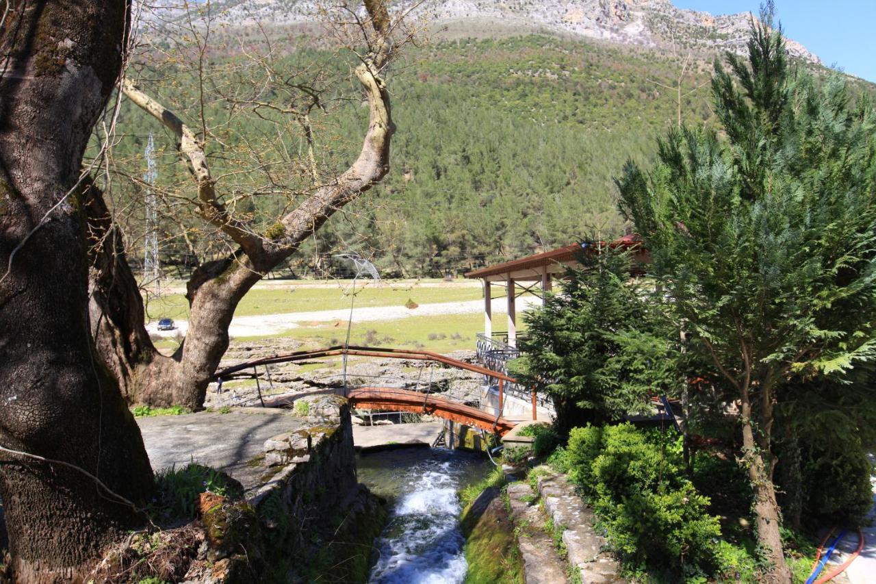 Hotel Gryka E Kelcyres Dış mekan fotoğraf